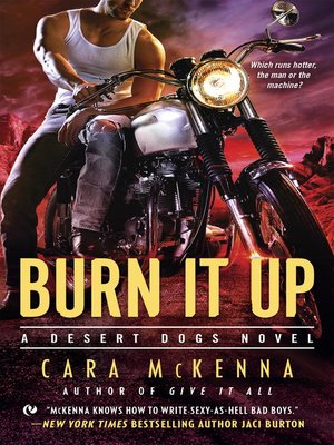 cover image of Burn It Up